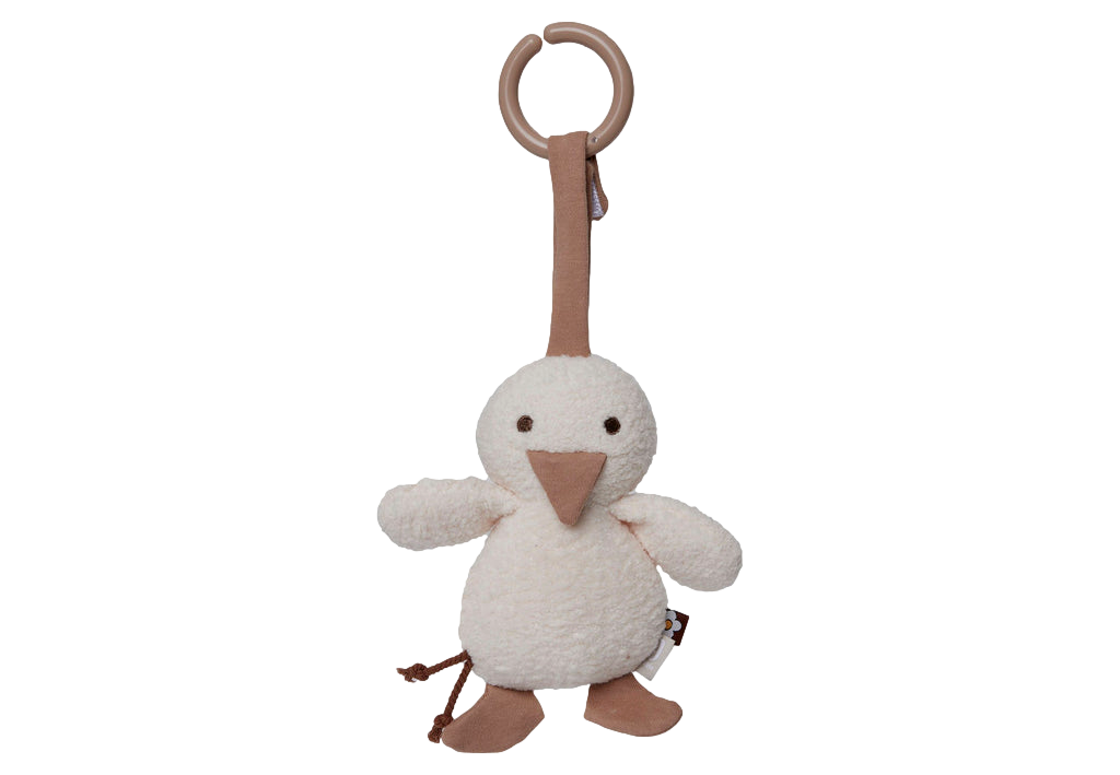 Wagenhanger Spring Garden - Duck